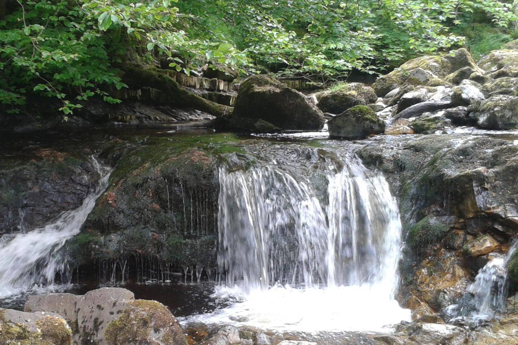 Dingieshowe Cottage Lennoxtown 외부 사진